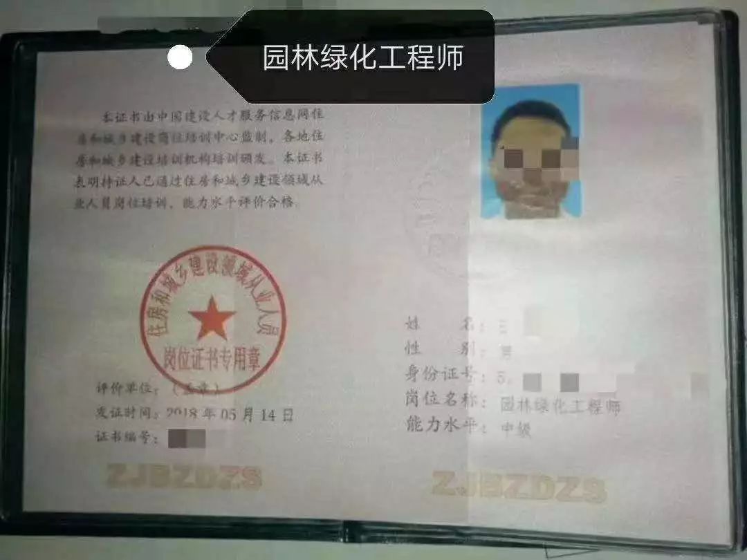 探索中国卫生人才网，便捷的资格证书查询平台中国卫生人才网资格证书查询系统