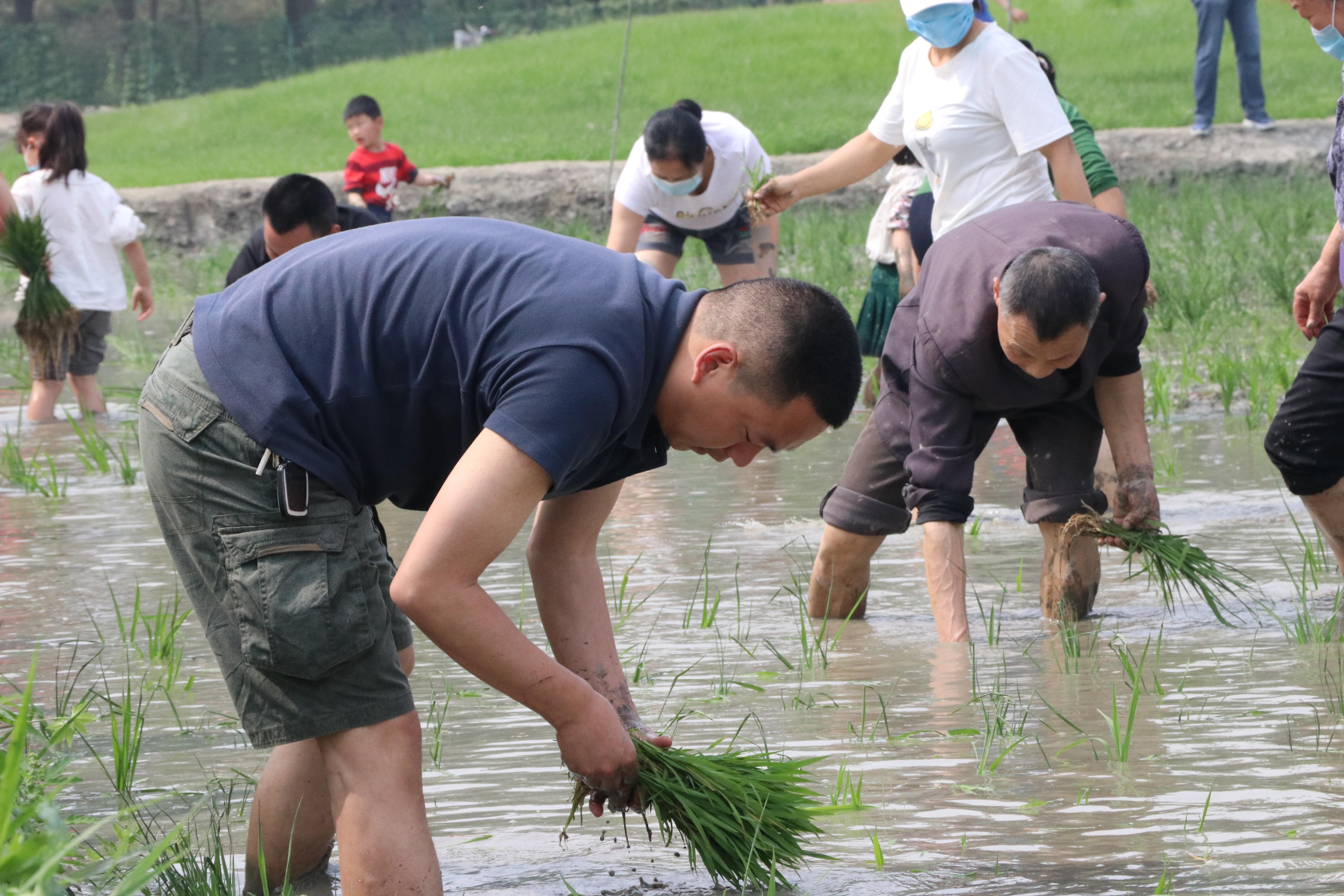 探索职业新篇章，中国银行招聘官网深度解析中国农业银行招聘官网