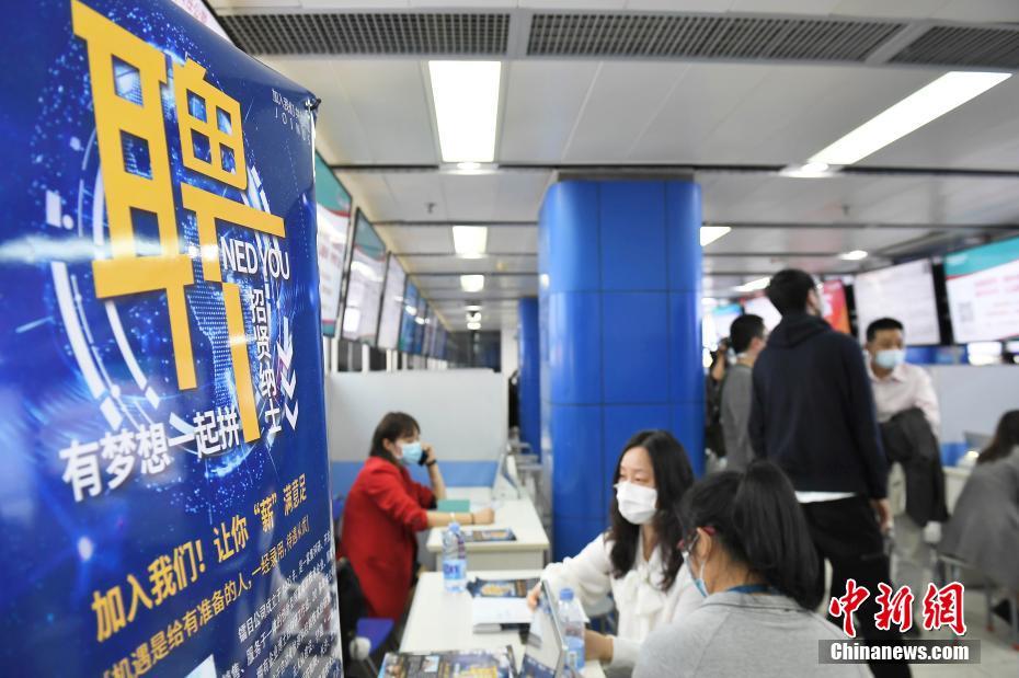 探索上海人才市场招聘官网，企业与求职者的智慧桥梁上海人才市场招聘官网入口
