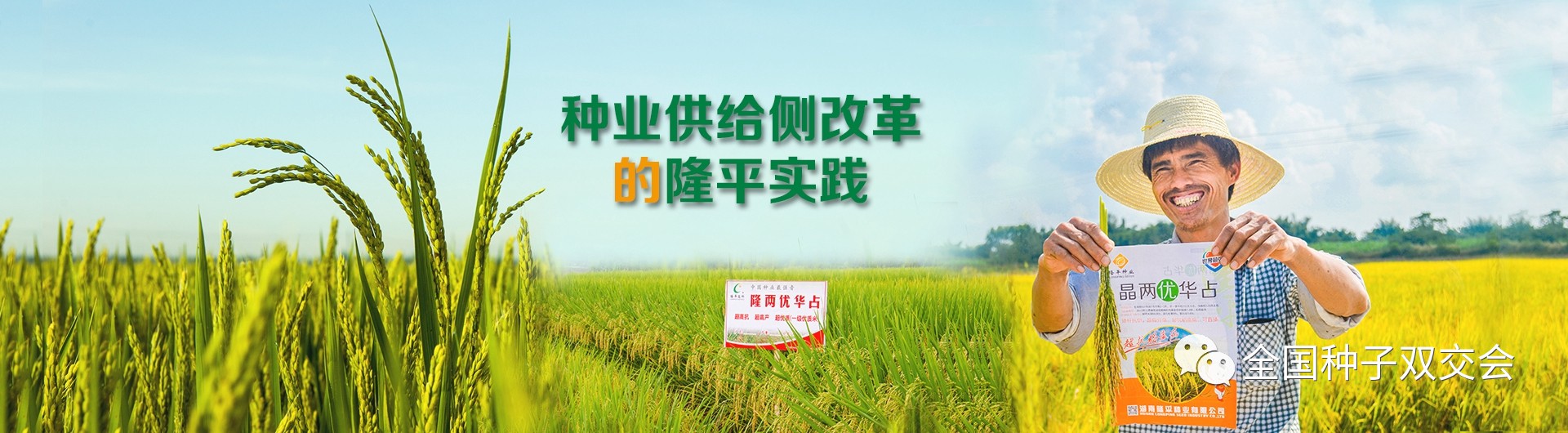 隆平高科，中国农业科技创新的领航者隆平高科(000998)股吧