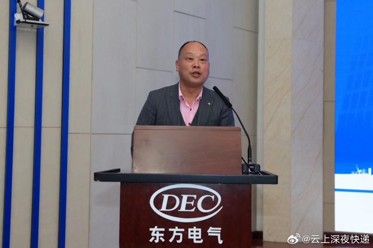 东方电气，创新驱动的绿色能源先锋东方电气董事长