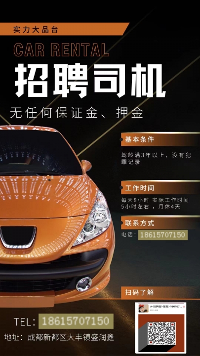 招司机C1，为私人提供专业驾驶服务招司机c1给私人开车宁海县本地