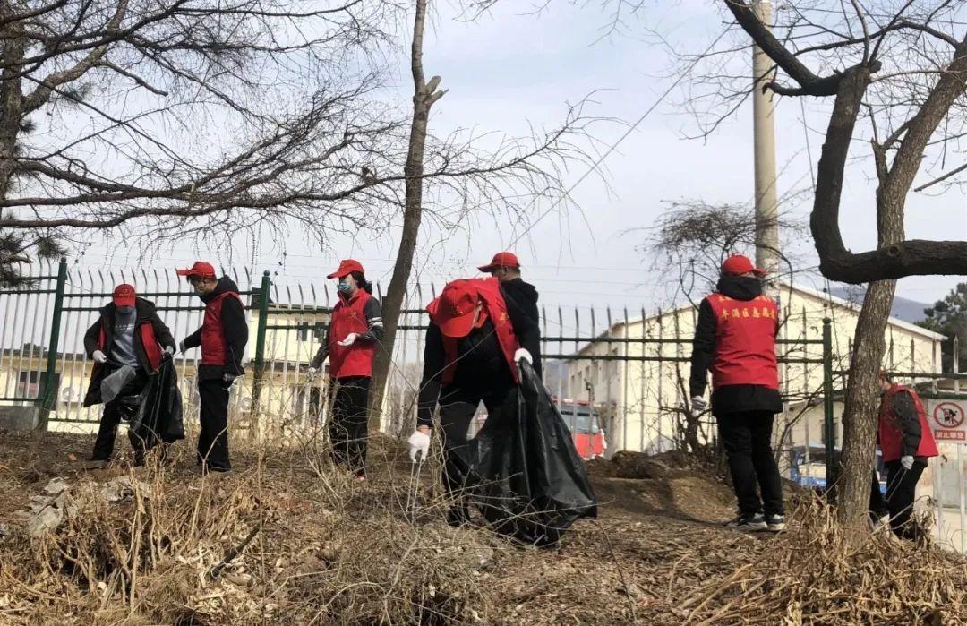 全国卫生人才网,构建健康中国的人才高地全国卫生人才网成绩查询入口