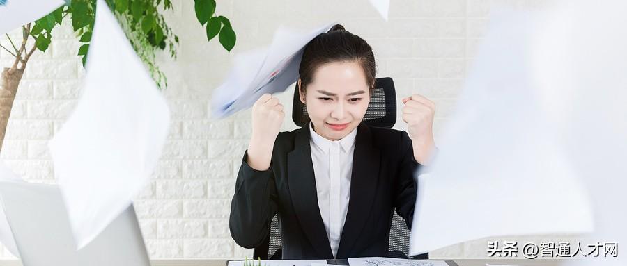 智通人才网登录入口，求职者的智慧之选智通人才网登录入口网页版