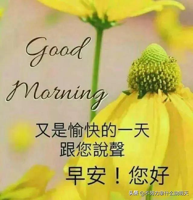 无忧网—数字时代的安心港湾无忧网官网入口