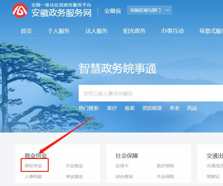 就业网,解锁职业新篇章的登录入口安徽阳光就业网登录入口官网