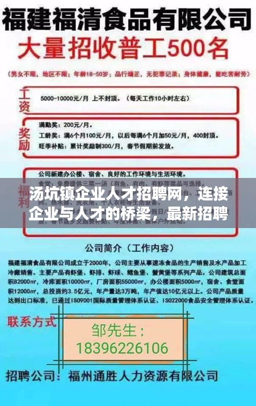 汕尾招聘网，连接人才与企业的桥梁汕尾招聘网站
