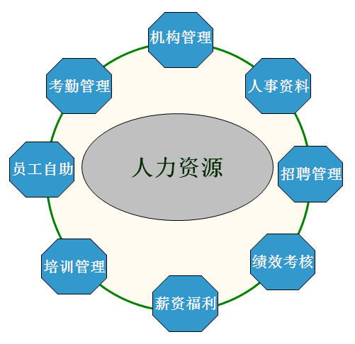 人力资源公司的角色与功能解析人力资源公司是干嘛的?