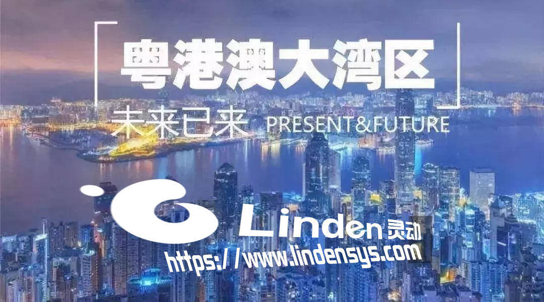 探索大佛山人才网招聘官网，解锁职场新机遇的数字平台大佛山人才网招聘官网首页